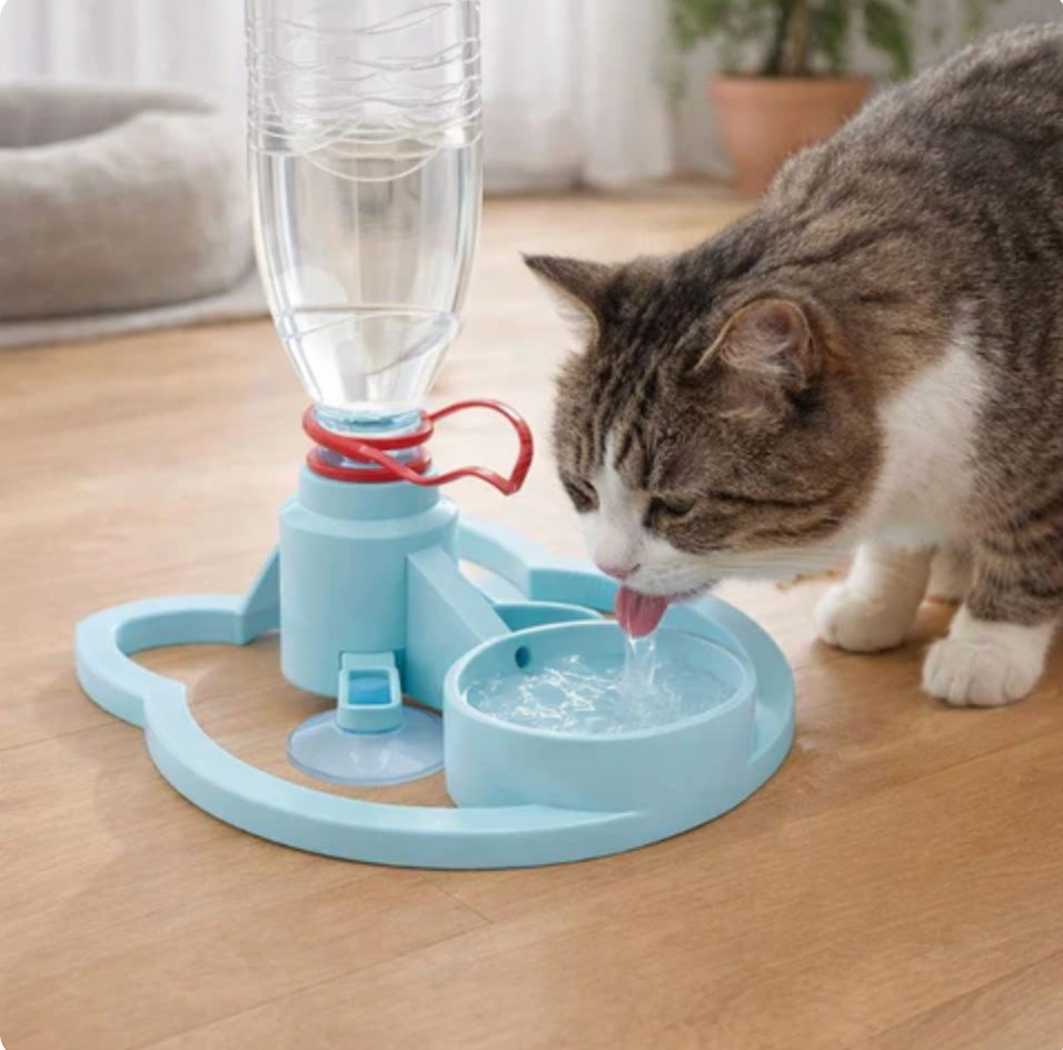 Water Fountain for Cats & Dogs Mess Hydration