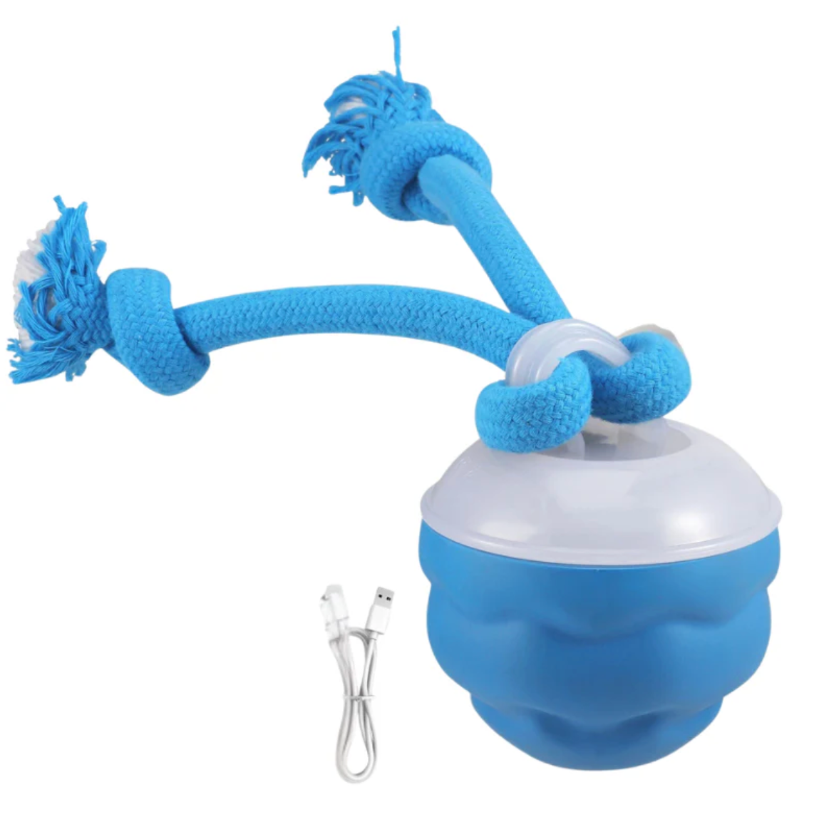 Interactive Ball Toy for Cats & Dogs Endless