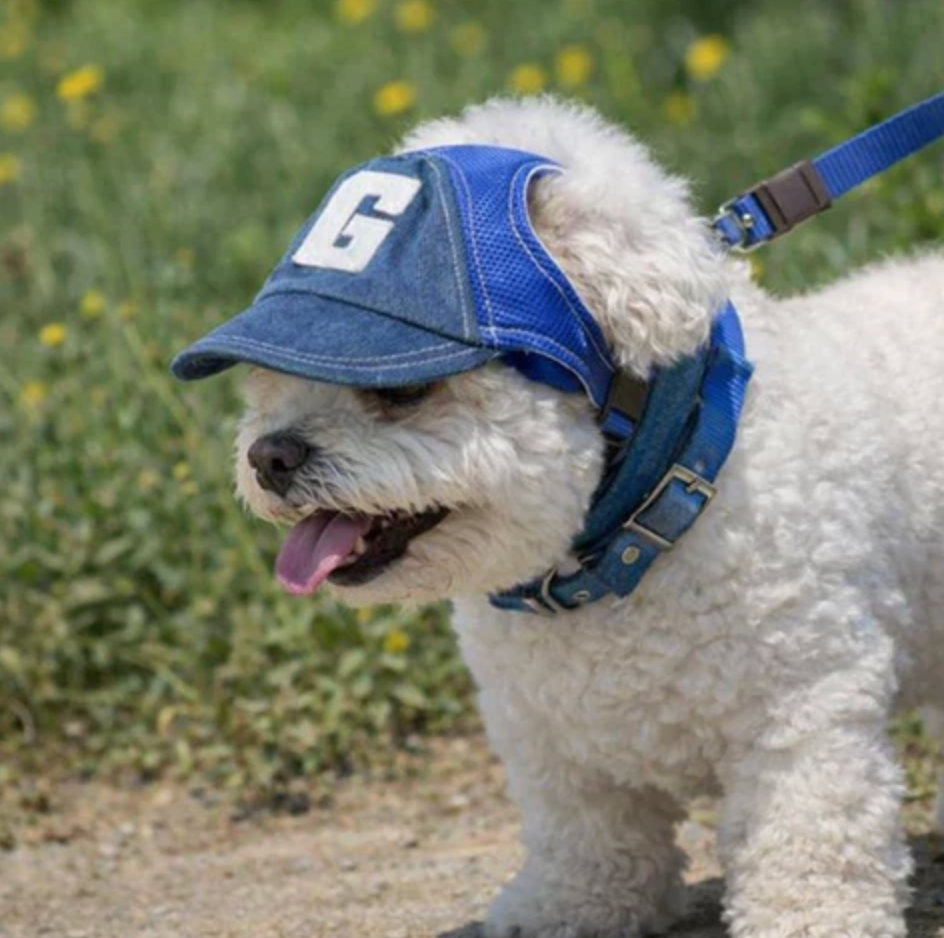 Sun Hat for Dogs Stylish Protection Sunny Adventures