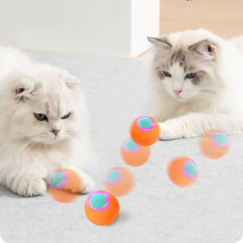Interactive Plastic Ball Toy for Cats Time Play