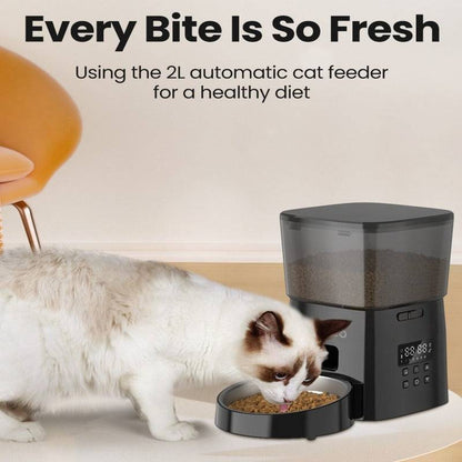 Automatic Stainless Steel Slow Feeder Bowl for Cats 2L