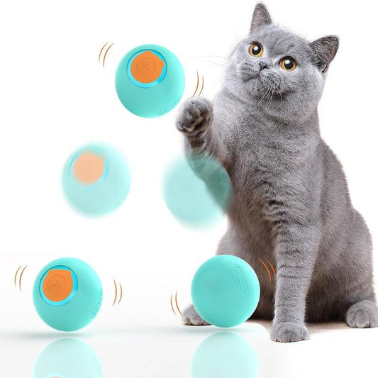 Interactive Plastic Ball Toy for Cats Time Play