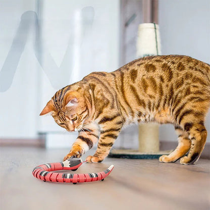 Smart Automatic Wand Teaser for Cats Meet Prey