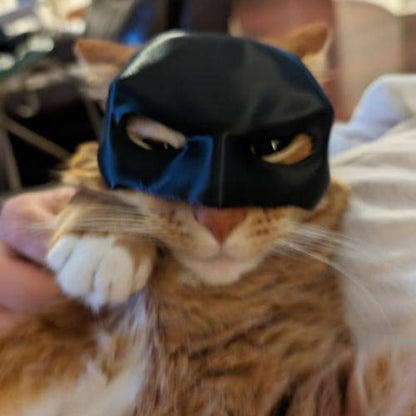 Costume for Cats Introducing Superhero Mask Adorable Premium