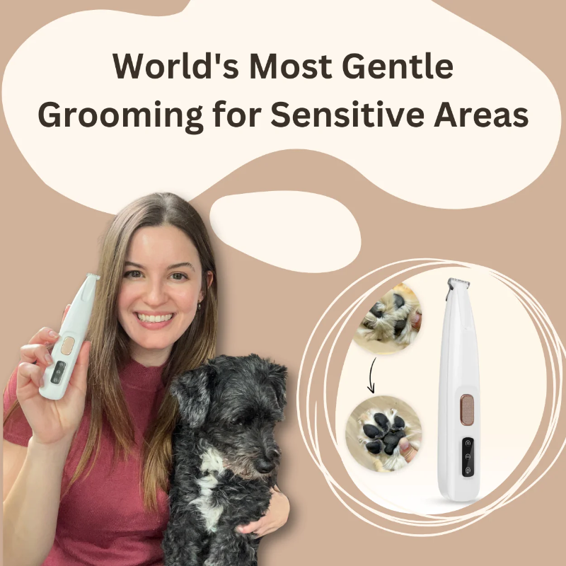 Portable Led Nail Grinder for Cats & Dogs