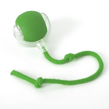 Interactive Ball Toy for Cats & Dogs Rolling