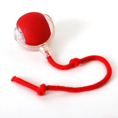 Interactive Ball Toy for Cats & Dogs Rolling