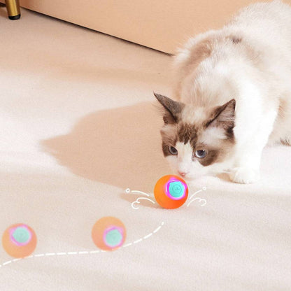 Interactive Plastic Ball Toy for Cats Time Play