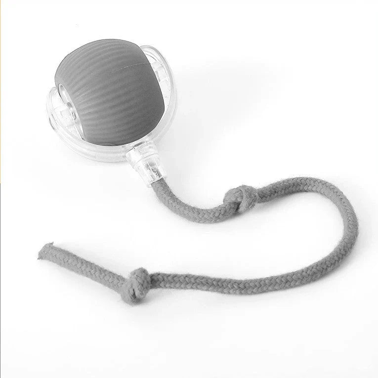 Interactive Ball Toy for Cats & Dogs Rolling