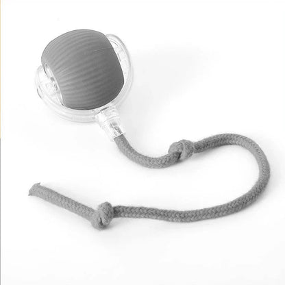 Interactive Ball Toy for Cats & Dogs Rolling