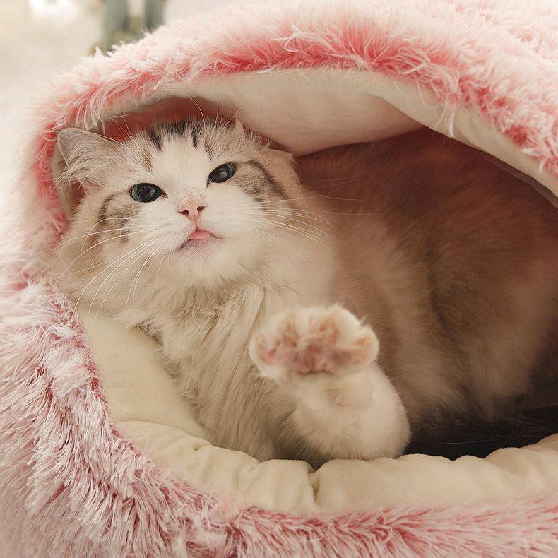 Soft Cozy Plush Bed for Cats & Dogs