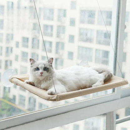 Comfortable Durable Hammock for Cats Give Relaxation Spot