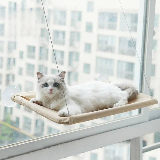 Comfortable Durable Hammock for Cats Give Relaxation Spot