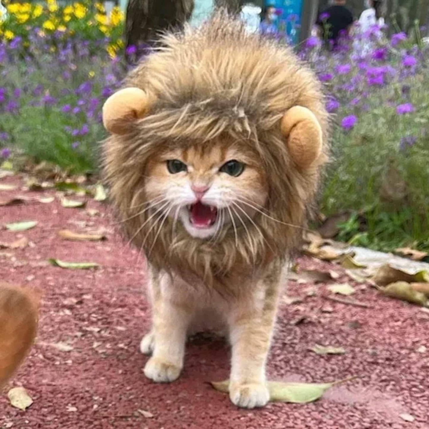Costume for Cats Futty Friend Majestic Lion Premium