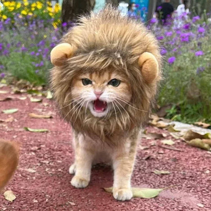 Costume for Cats Futty Friend Majestic Lion Premium