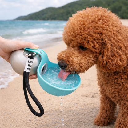 Water Fountain for Dogs Hydrated Anywhere Without Mess