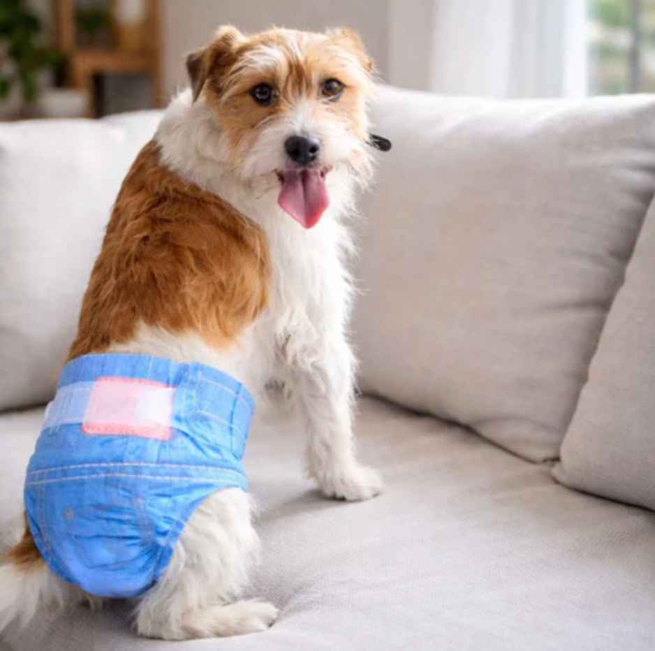 Diaper Wrap for Dogs Multi Layer Leak Odor
