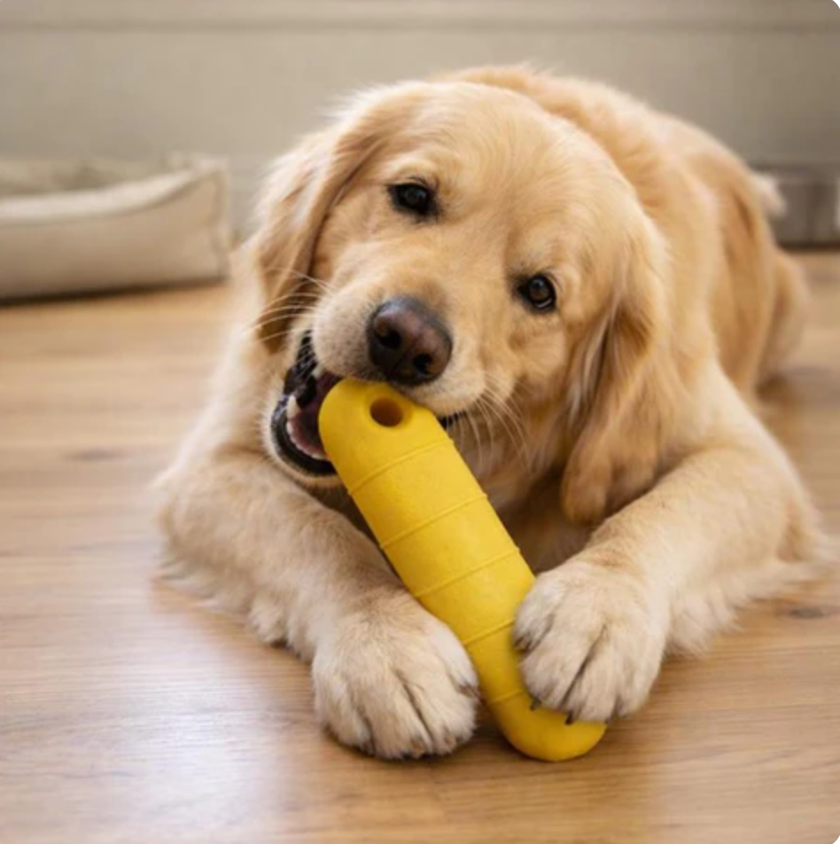 Eco Retrieval Ring Toy for Dogs Multi Environment
