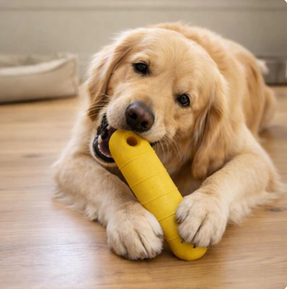 Eco Retrieval Ring Toy for Dogs Multi Environment