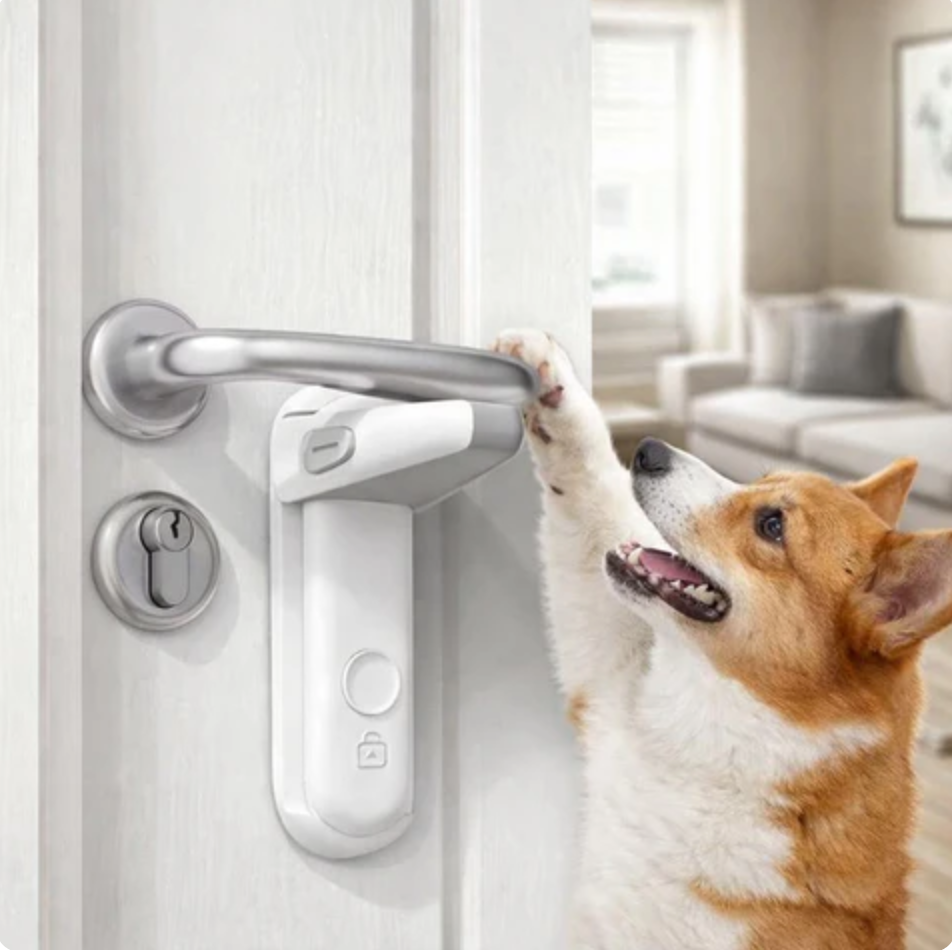 Quiet Safety Gate for Pets Disruption Closing Silent