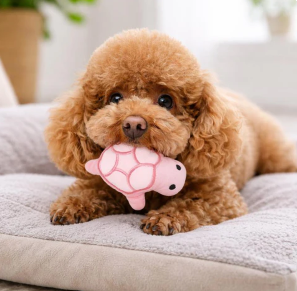 Interactive Plush Chew Toy for Dogs Instinctive Squeak