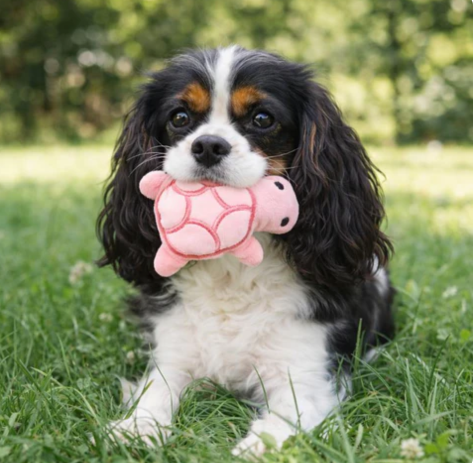 Interactive Plush Chew Toy for Dogs Instinctive Squeak