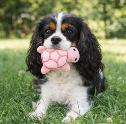 Interactive Plush Chew Toy for Dogs Instinctive Squeak