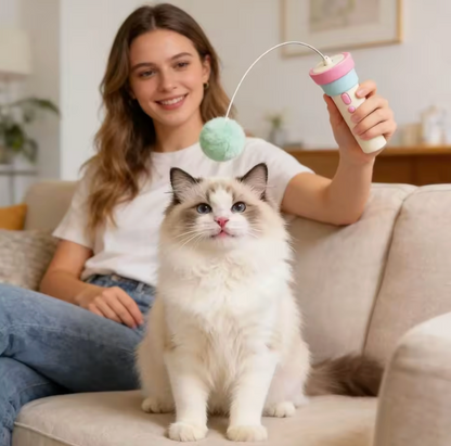 Electric Interactive Wand Teaser for Cats High Frequency