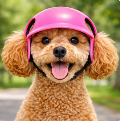 Adjustable Safety Helmet for Cats & Dogs Adventure