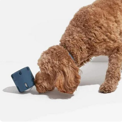 Interactive Scratching Post for Cats Instinctive Hunting Simulation