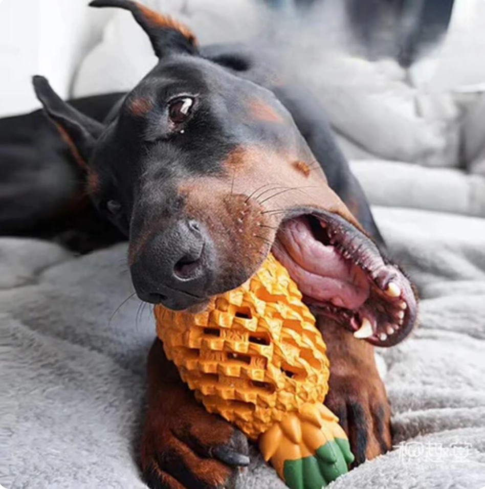 Slow Rubber Dental Care Tool for Dogs Mechanical