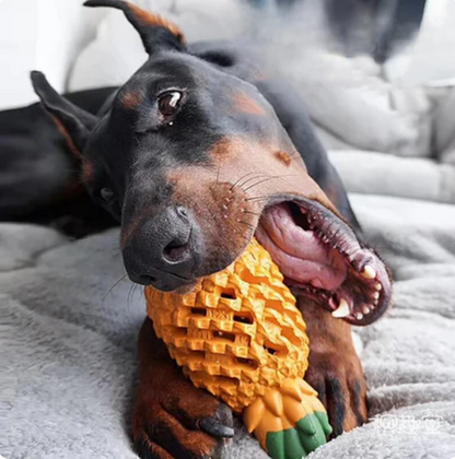 Slow Rubber Dental Care Tool for Dogs Mechanical