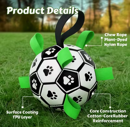 Interactive Nylon Ball Toy for Cats & Dogs