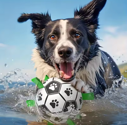 Interactive Nylon Ball Toy for Cats & Dogs