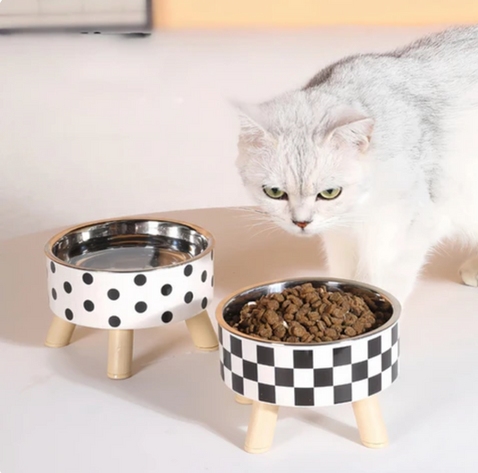Elevated Slow Stainless Steel Feeder Bowl for Cats & Dogs