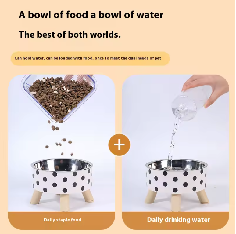 Elevated Slow Stainless Steel Feeder Bowl for Cats & Dogs