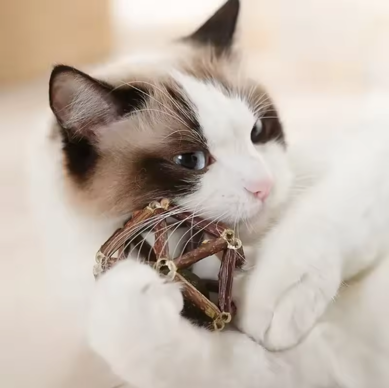 Cozy Plush Bed for Cats Vertical Security Stress