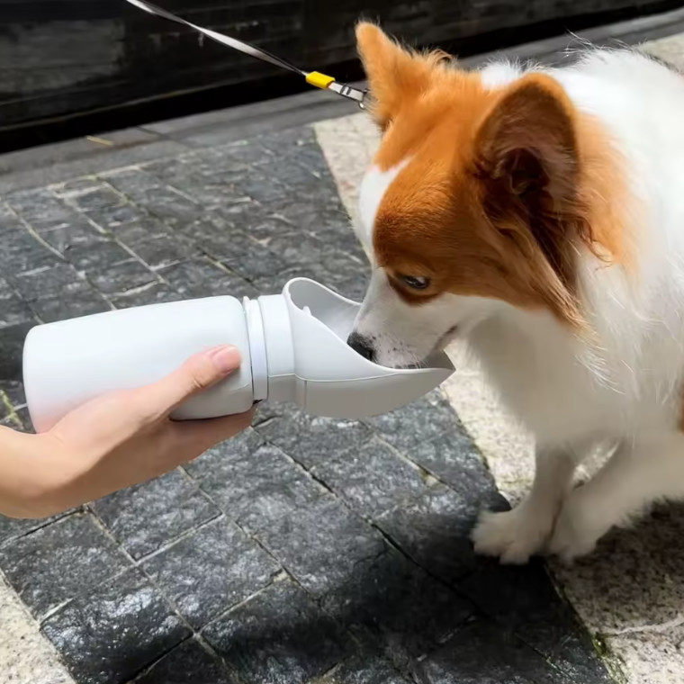 Travel Portable Water Fountain for Cats & Dogs