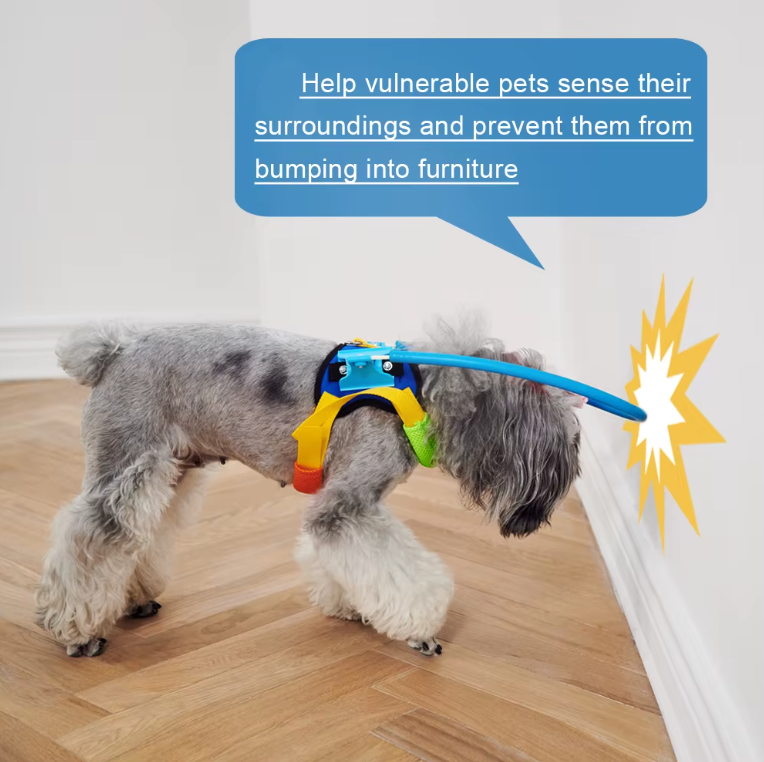 Walking Harness for Dogs Restore Friend Confidence Freedom