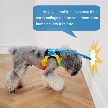 Walking Harness for Dogs Restore Friend Confidence Freedom