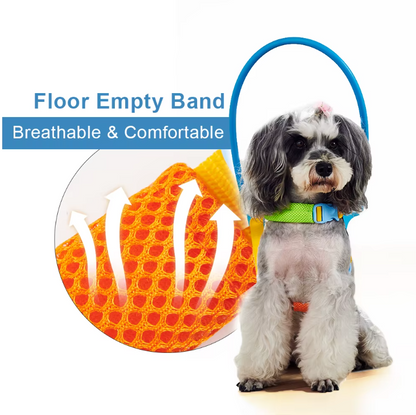 Walking Harness for Dogs Restore Friend Confidence Freedom