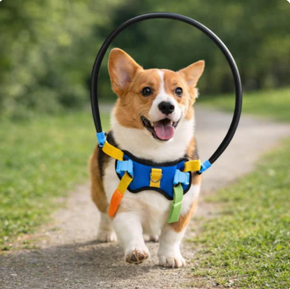 Walking Harness for Dogs Restore Friend Confidence Freedom