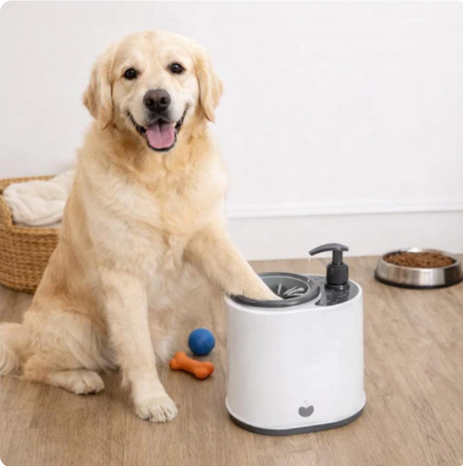 Silicone Drying Towel for Dogs Floors Spotless Paws