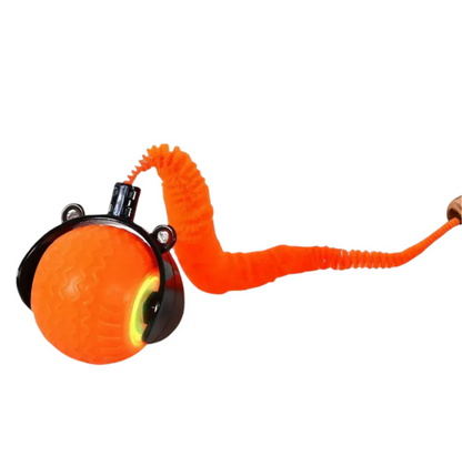Interactive Ball Toy for Cats & Dogs High