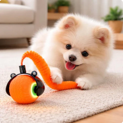 Interactive Ball Toy for Cats & Dogs High