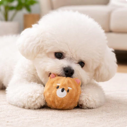 Interactive Plush Dental Care Tool for Cats & Dogs