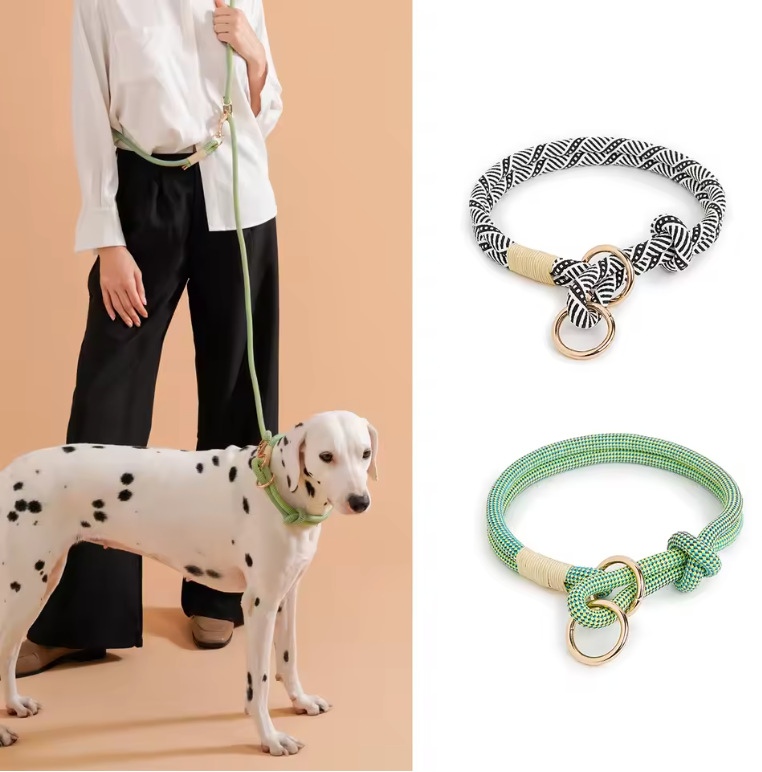 Plush Leash for Dogs Blend Strength Softness Pull
