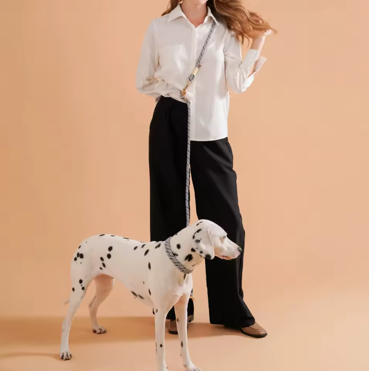 Plush Leash for Dogs Blend Strength Softness Pull