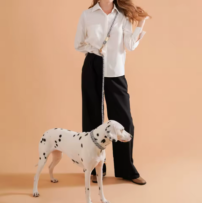Plush Leash for Dogs Blend Strength Softness Pull