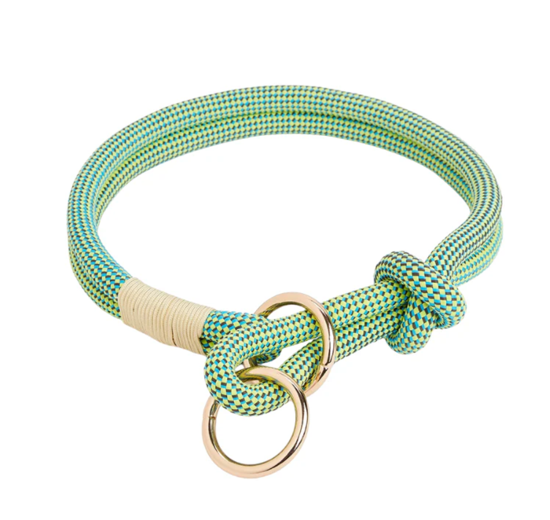 Plush Leash for Dogs Blend Strength Softness Pull